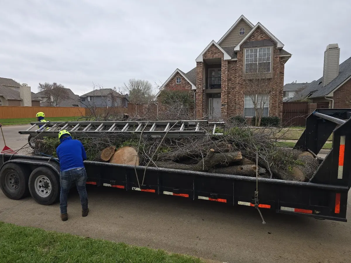 Expert Lot Clearing with proper safety equipment in Hayden
